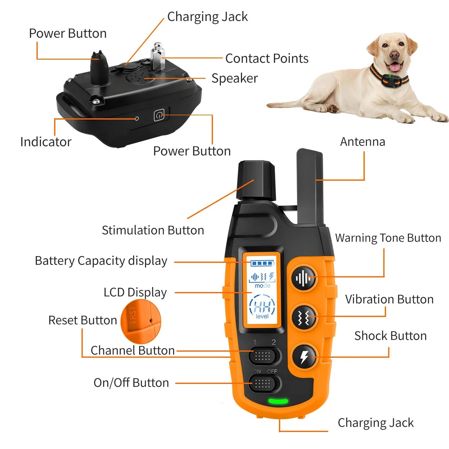 3300Ft Waterproof Electric Dog Training Collar for 5-120lbs Puppy with Remote Control