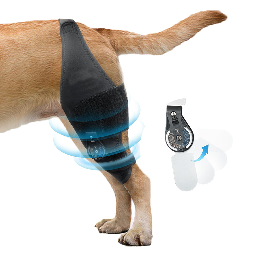 Single-Leg Dog ACL Support Brace