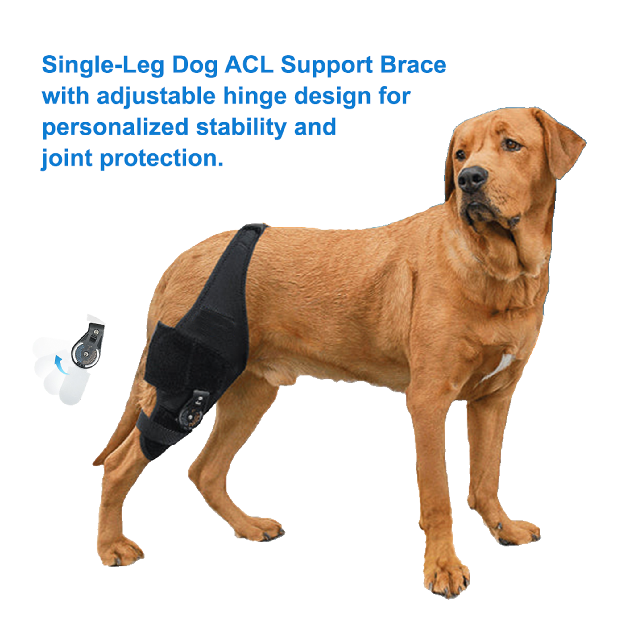 Single-Leg Dog ACL Support Brace