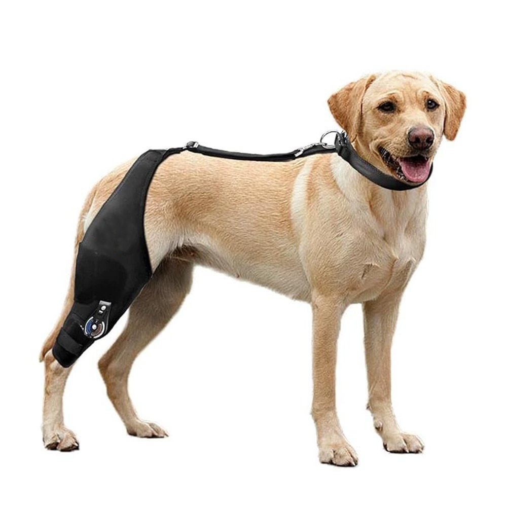 Single-Leg Dog ACL Support Brace