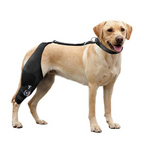 Single-Leg Dog ACL Support Brace