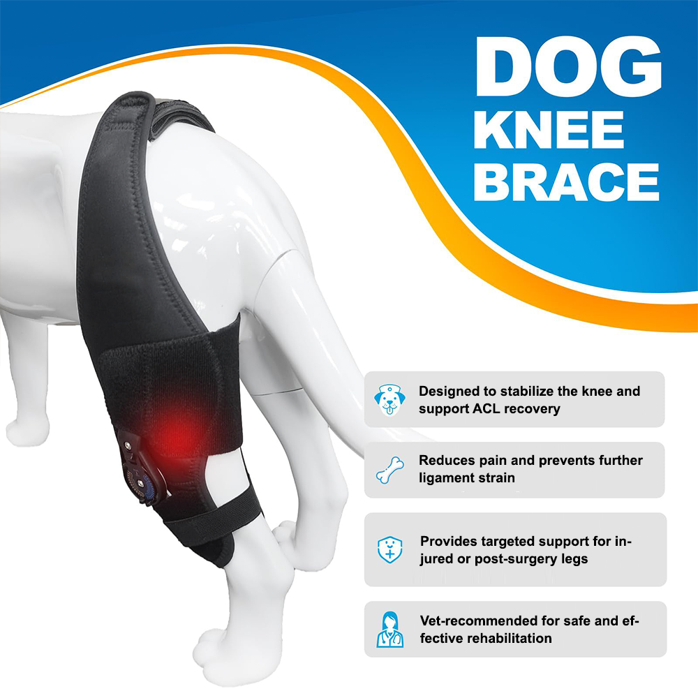 Single-Leg Dog ACL Support Brace