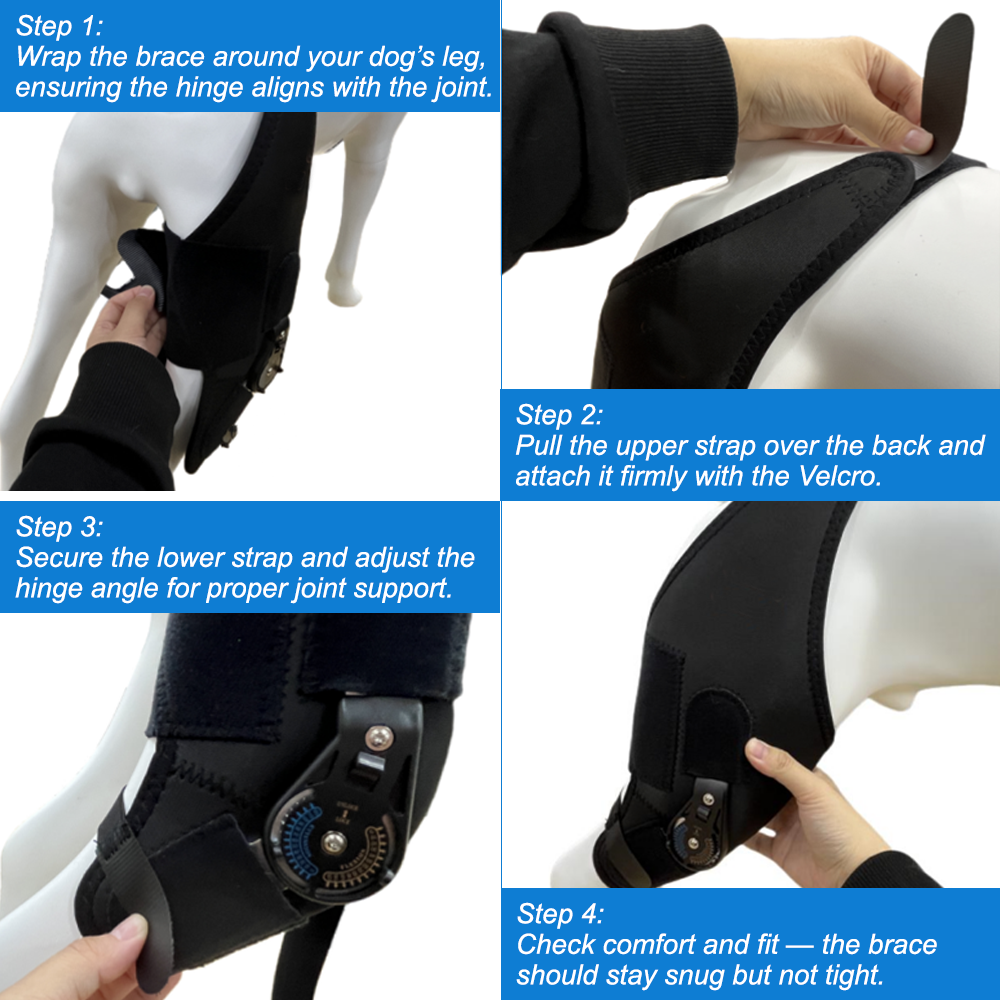 Single-Leg Dog ACL Support Brace