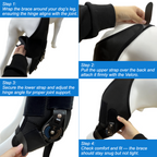 Single-Leg Dog ACL Support Brace