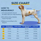 Stabilizing Dog Hip Dysplasia Brace with Lift Handle
