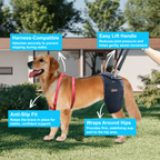 Stabilizing Dog Hip Dysplasia Brace with Lift Handle