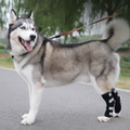 Stabilizing Dog Rear Leg Support Brace