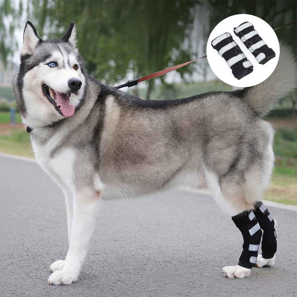 Stabilizing Dog Rear Leg Support Brace
