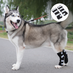 Stabilizing Dog Rear Leg Support Brace