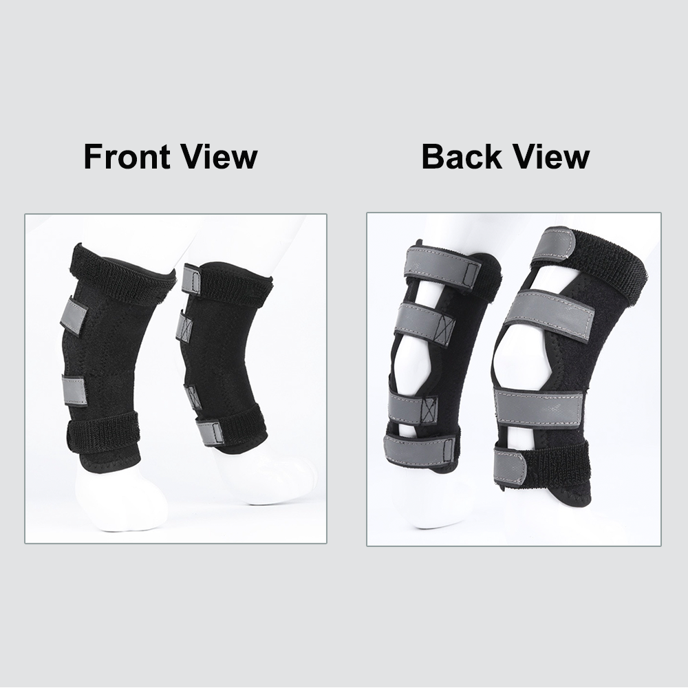 Stabilizing Dog Rear Leg Support Brace