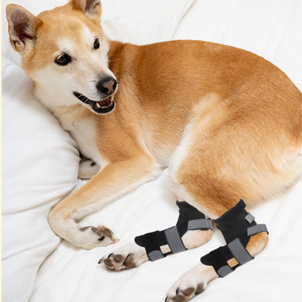 Stabilizing Dog Rear Leg Support Brace