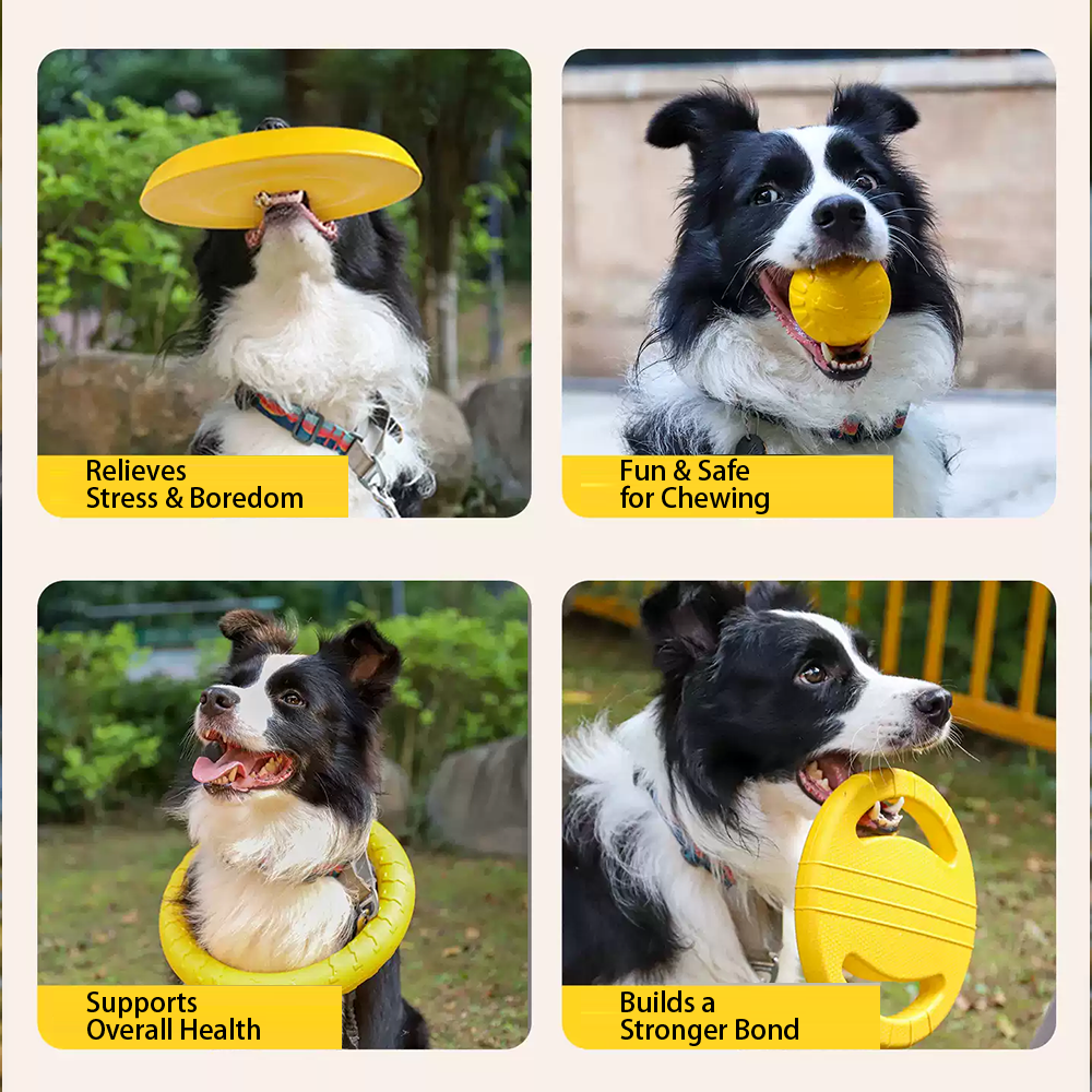 All-Terrain Floating Dog Disc