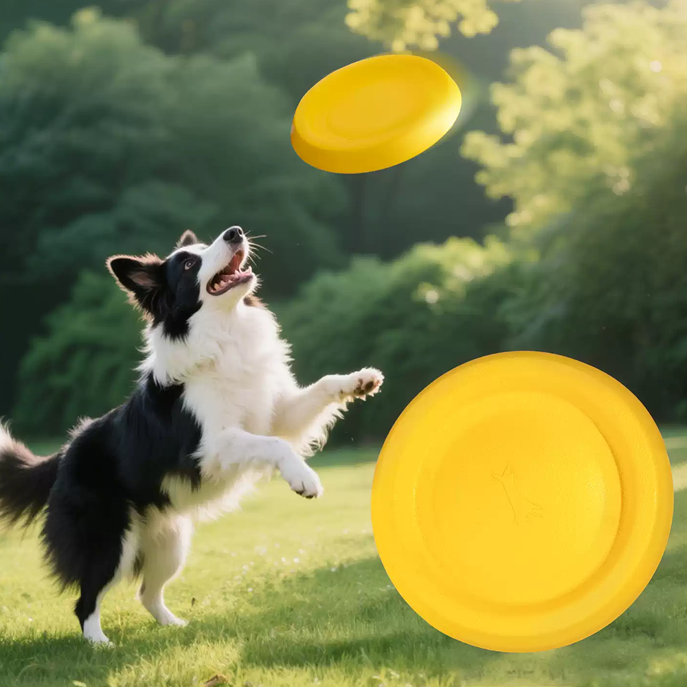 All-Terrain Floating Dog Disc