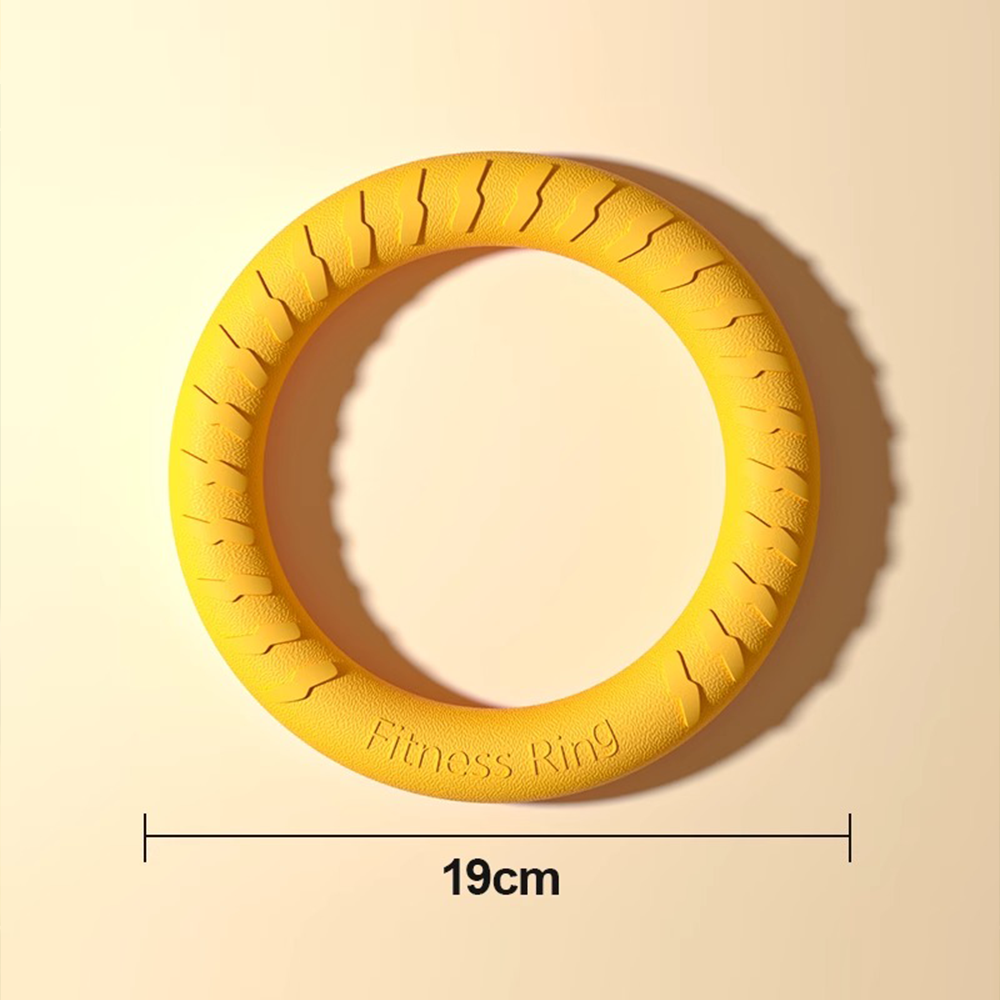 All-Terrain Floating Dog Disc