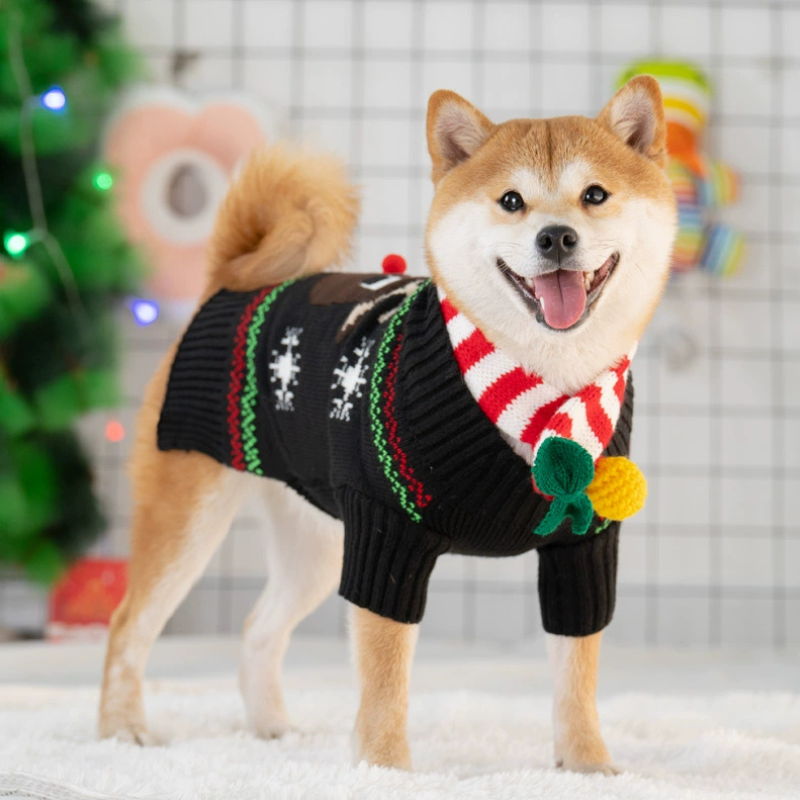 Classic Dog Christmas Sweater with Scarf