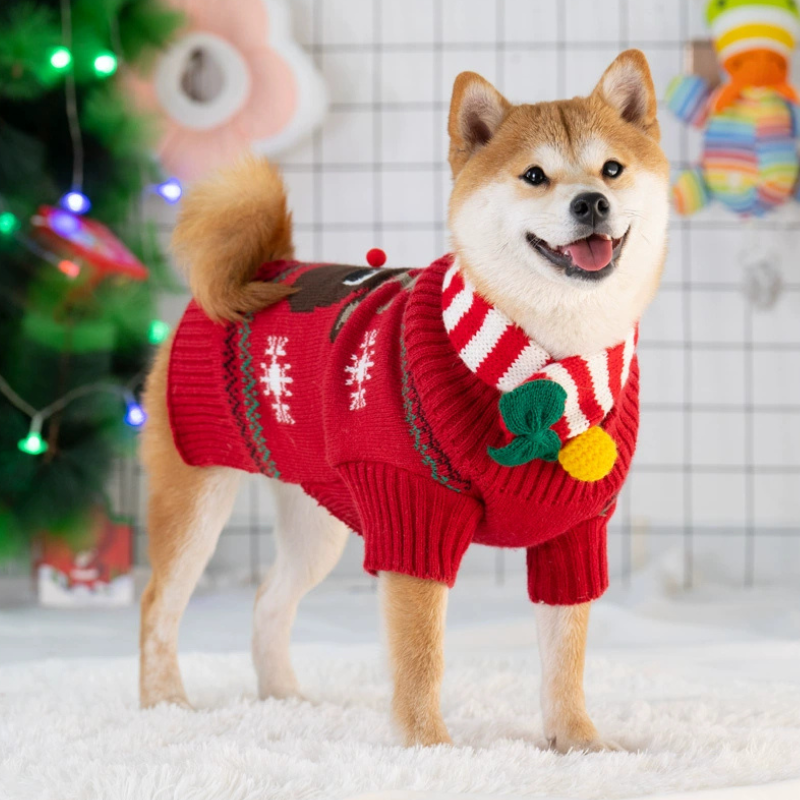 Classic Dog Christmas Sweater with Scarf