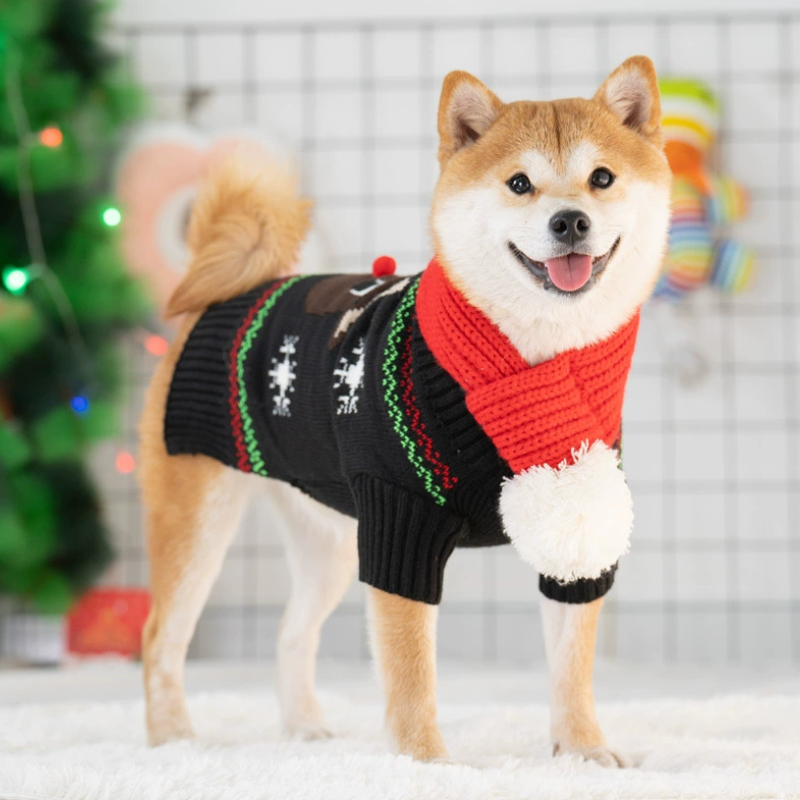 Classic Dog Christmas Sweater with Scarf