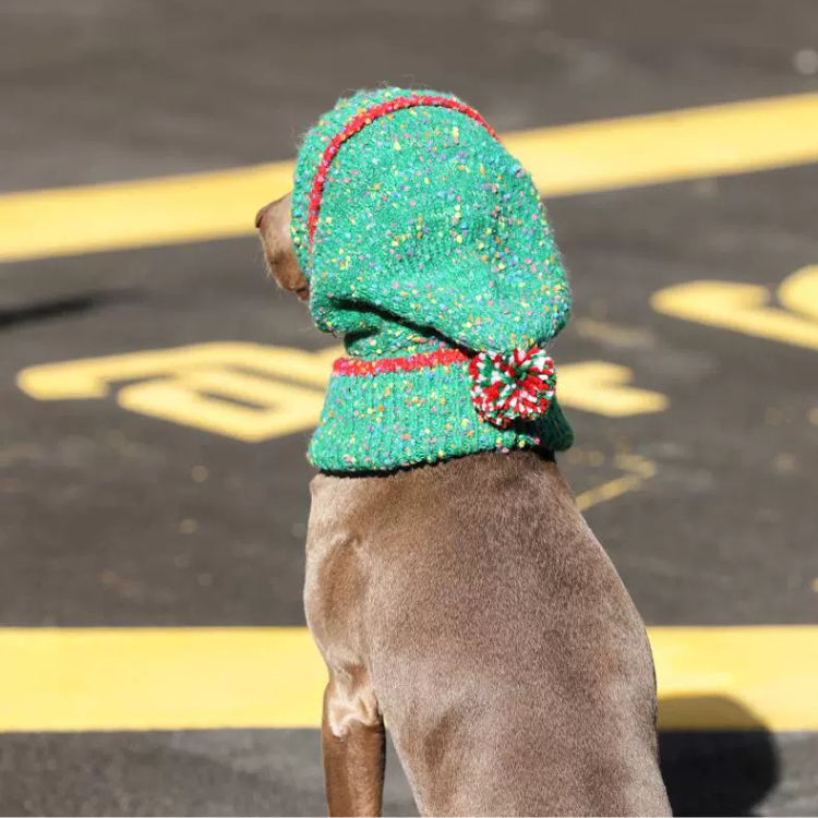Dog Christmas Hat