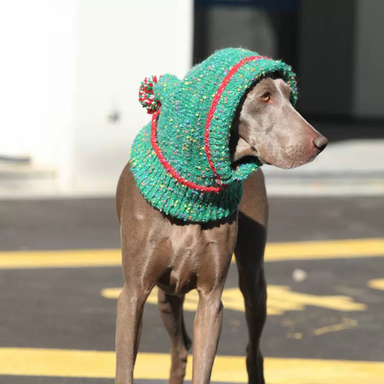 Dog Christmas Hat