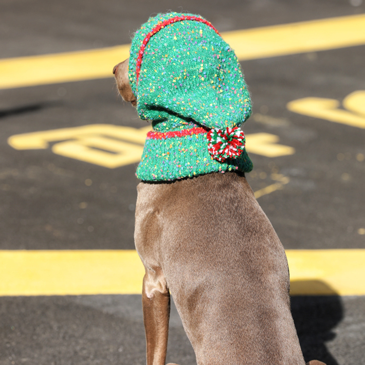 Dog Christmas Hat