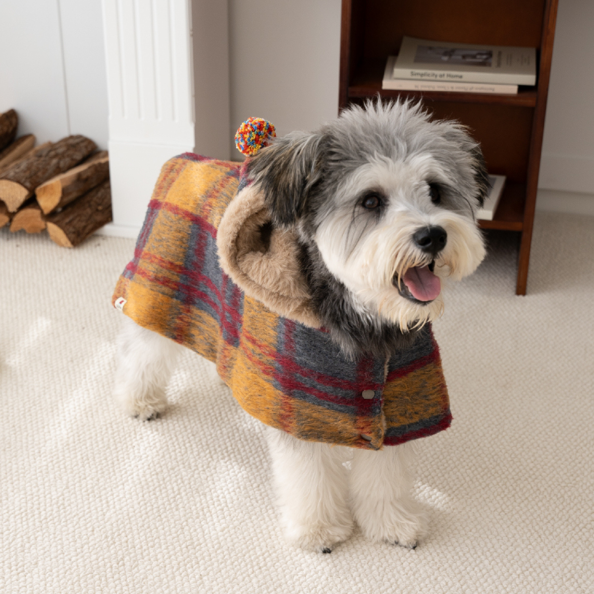 Dog Christmas Hooded Cape