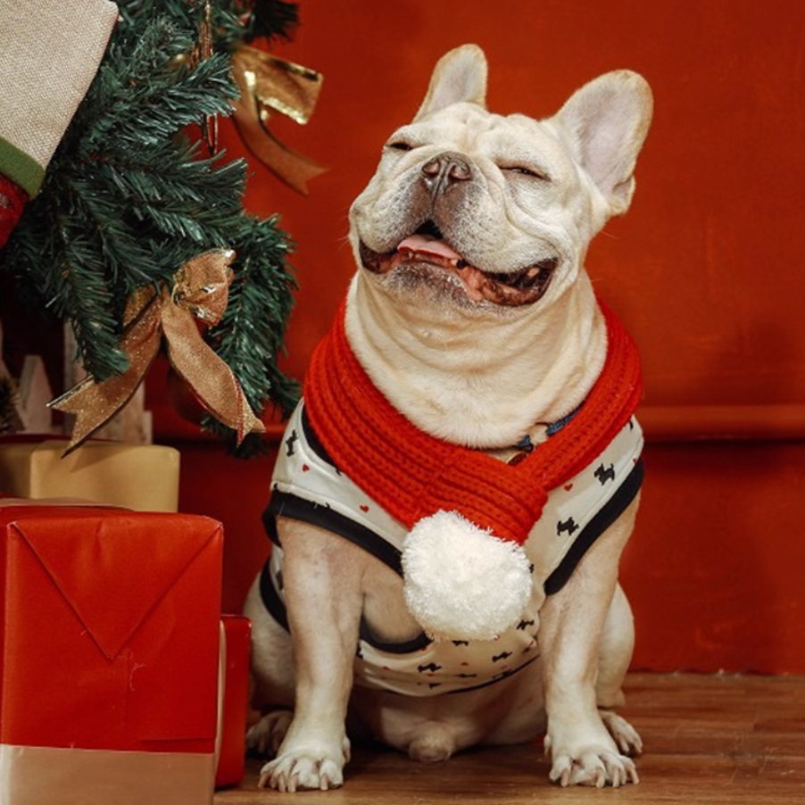 Dog Christmas Snood