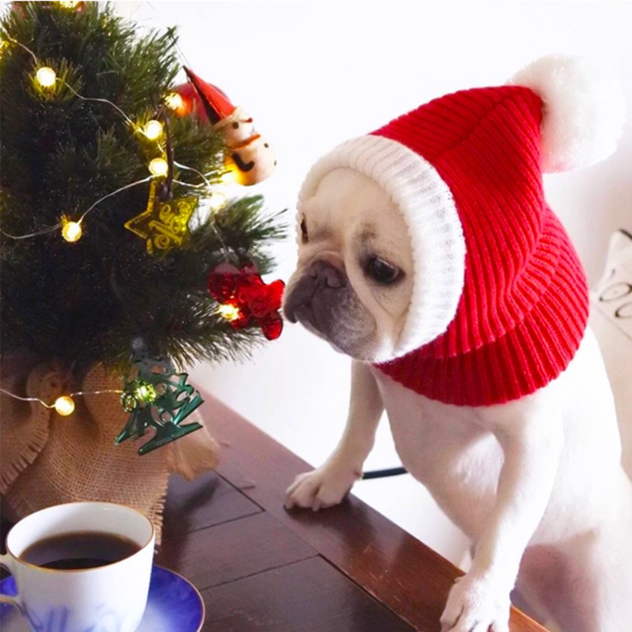 Dog Christmas Snood
