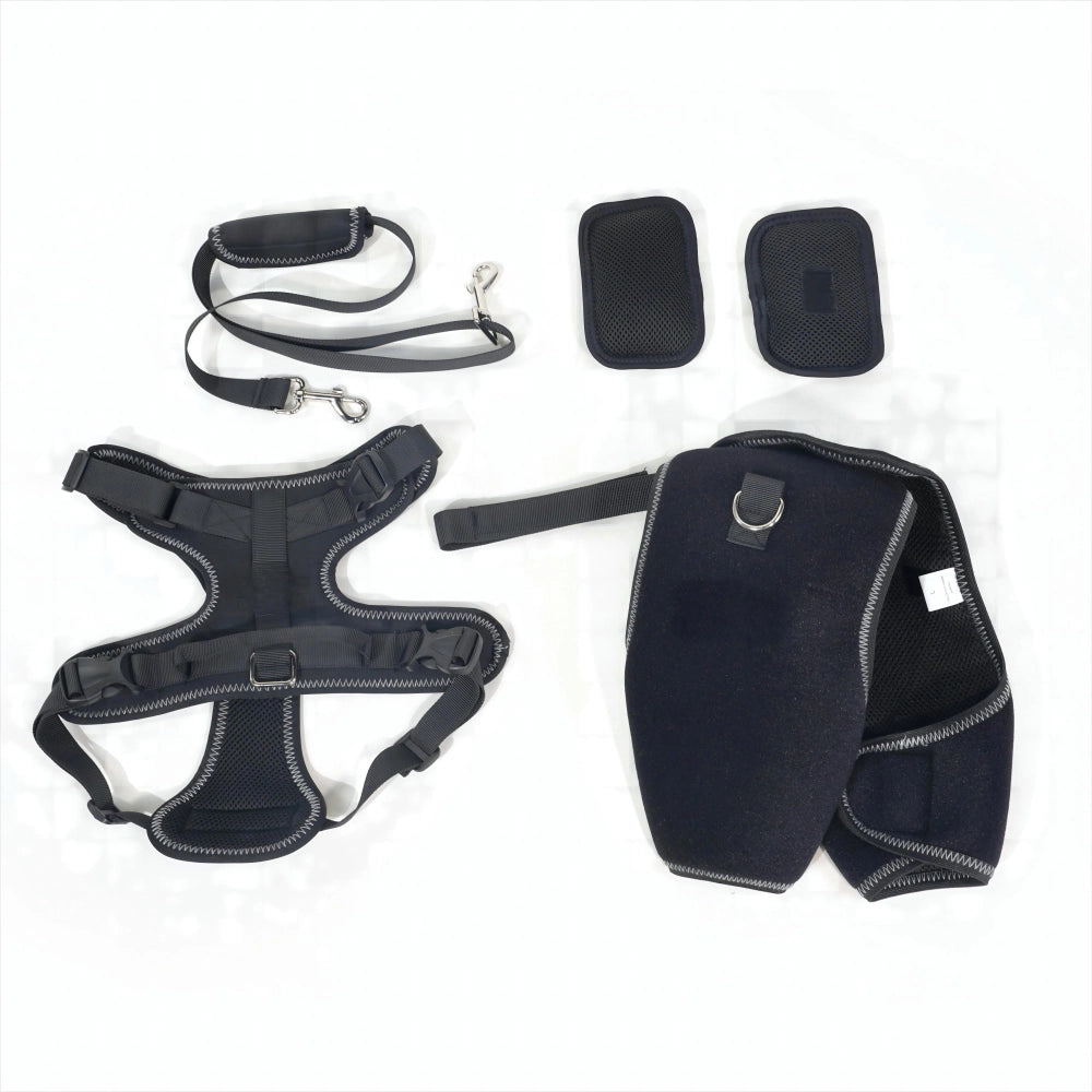 Stabilizing Dog Hip Dysplasia Brace with Lift Handle