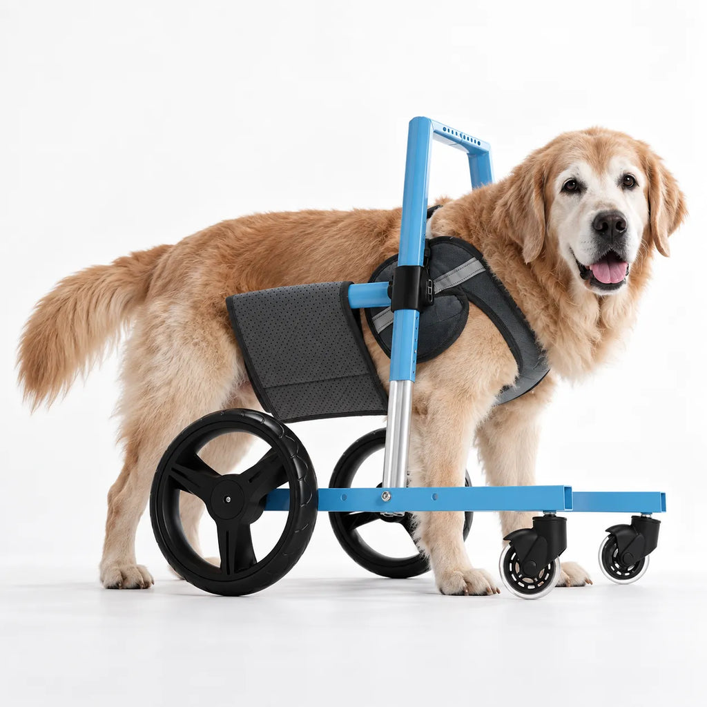 Front Leg Dog Wheelchair