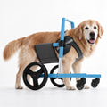Front Leg Dog Wheelchair