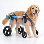 Full Body Support Dog Wheelchair