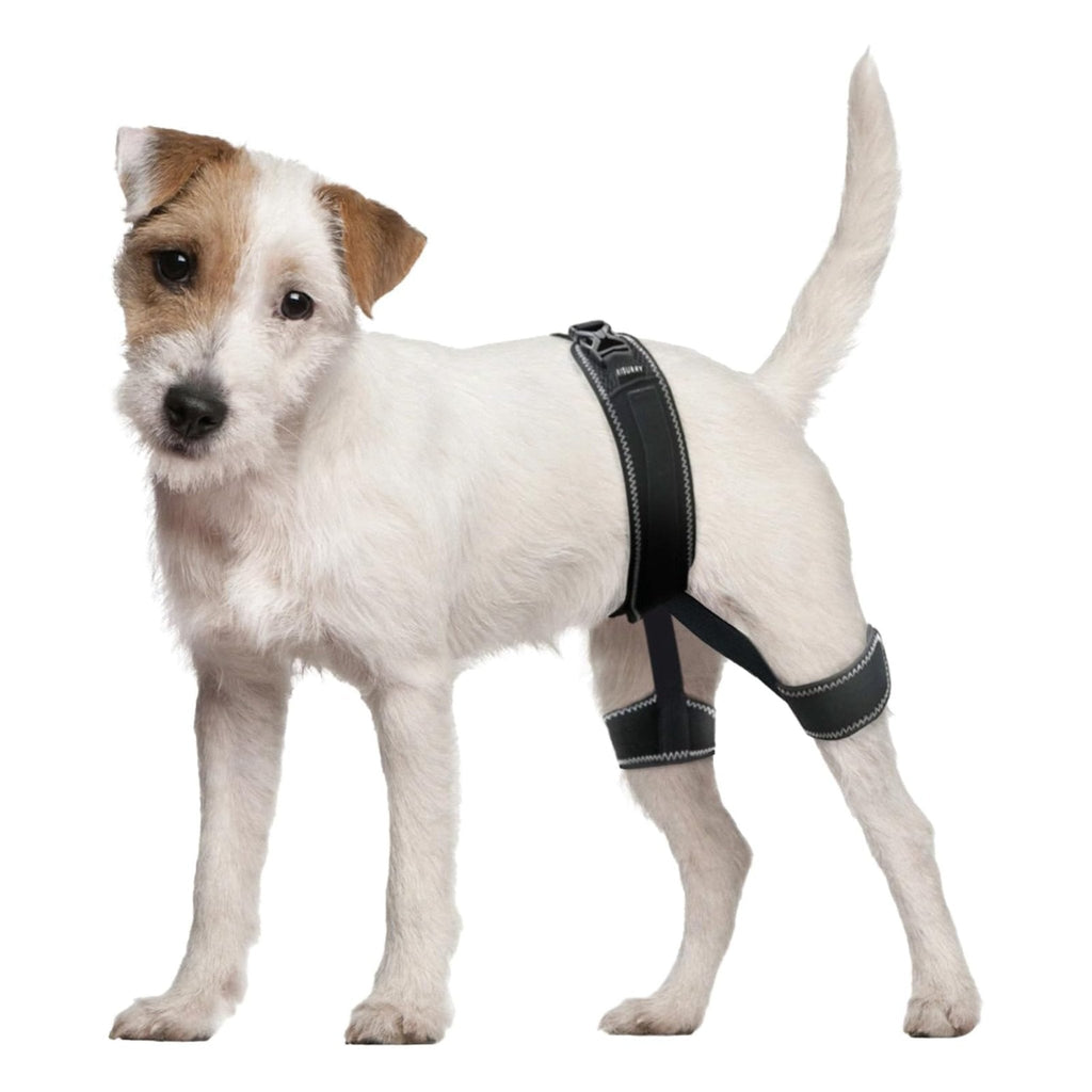 Dog Hip Dysplasia Brace Harness