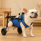 Lightweight Adjustable Dog Wheelchair for Rear Legs