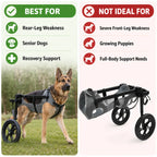 Large Dog Wheelchair for Back Legs