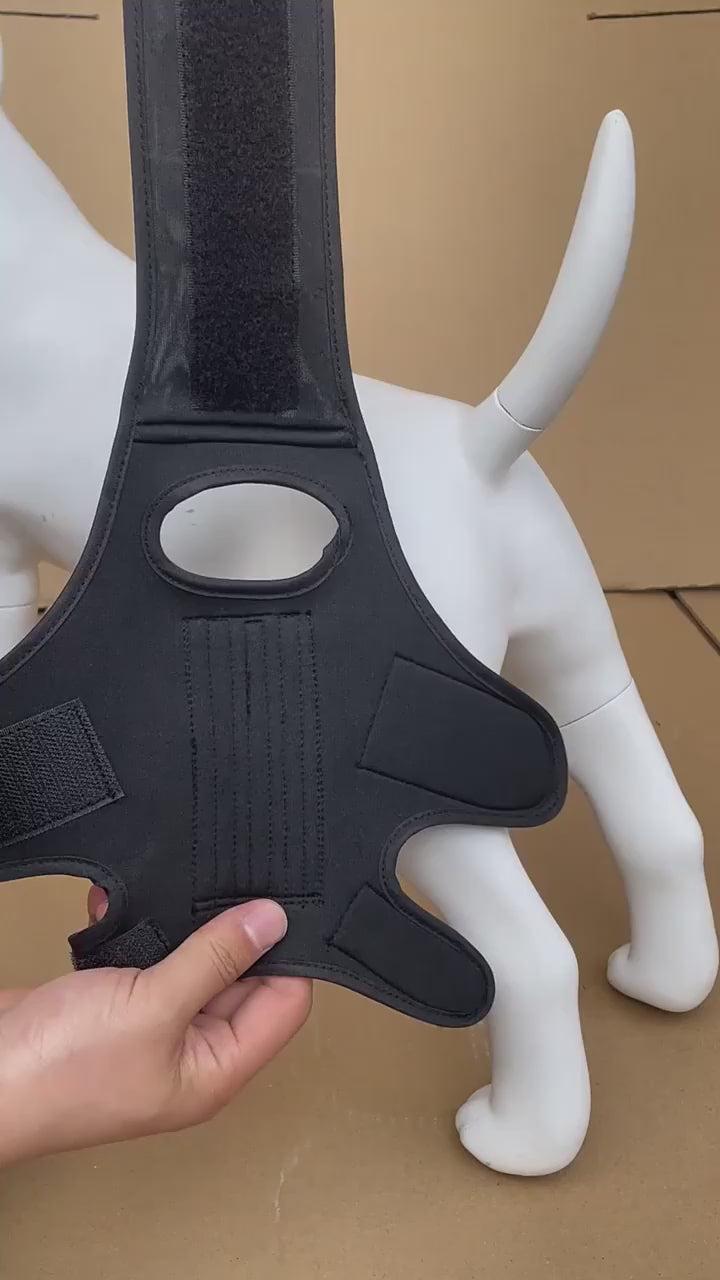 Dog Hip Knee Leg Brace For Rear Legs