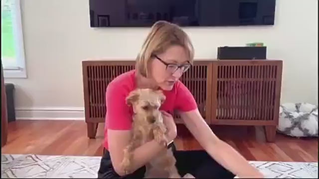 Comfort-Fit Dog Back Support Vest with Integrated Metal Stabilizers