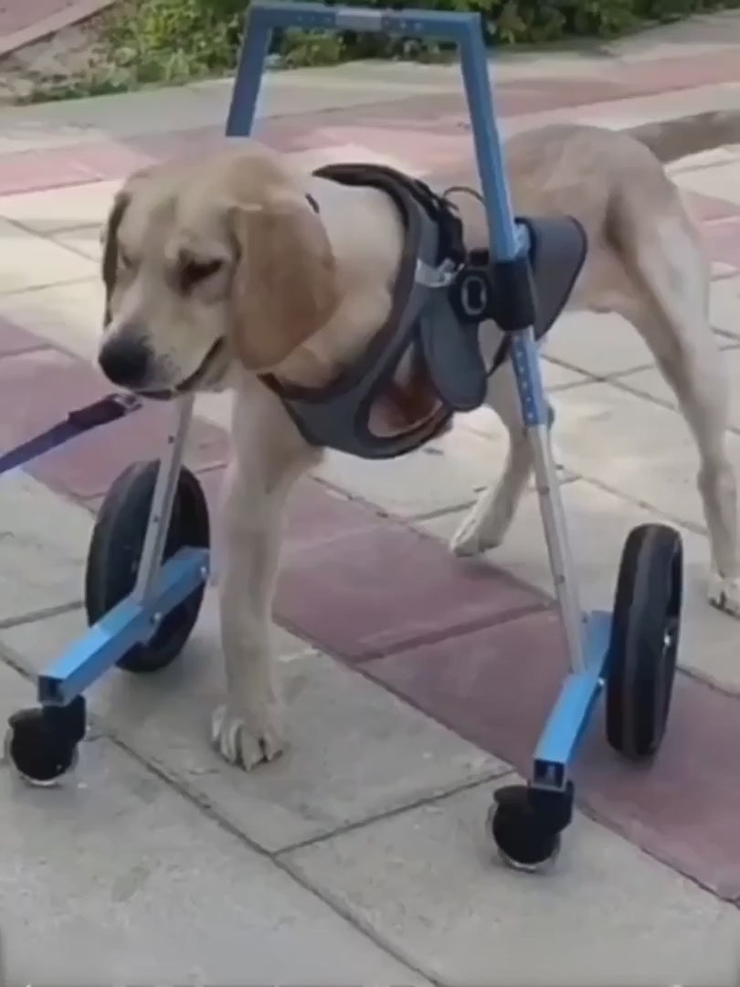 Front Leg Dog Wheelchair