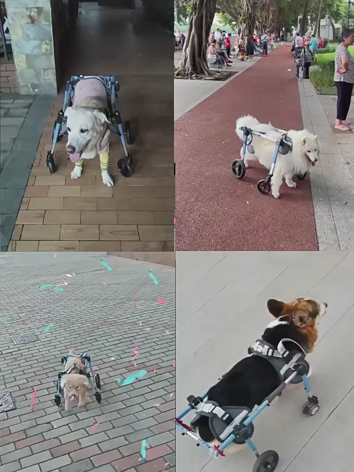 Full Body Support Dog Wheelchair