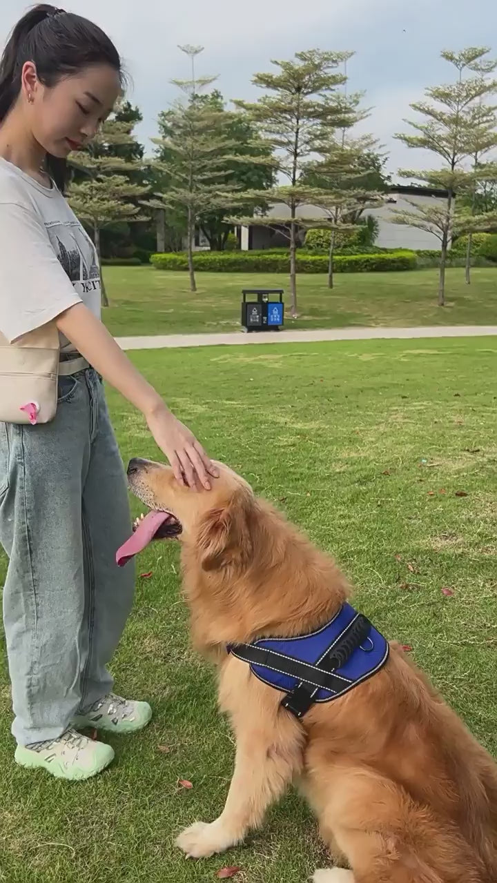 Magnetic Dog Treat Pouch with Waste Bag Dispenser