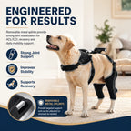 Adjustable Dog ACL Knee Brace – Single/Dual Leg Support