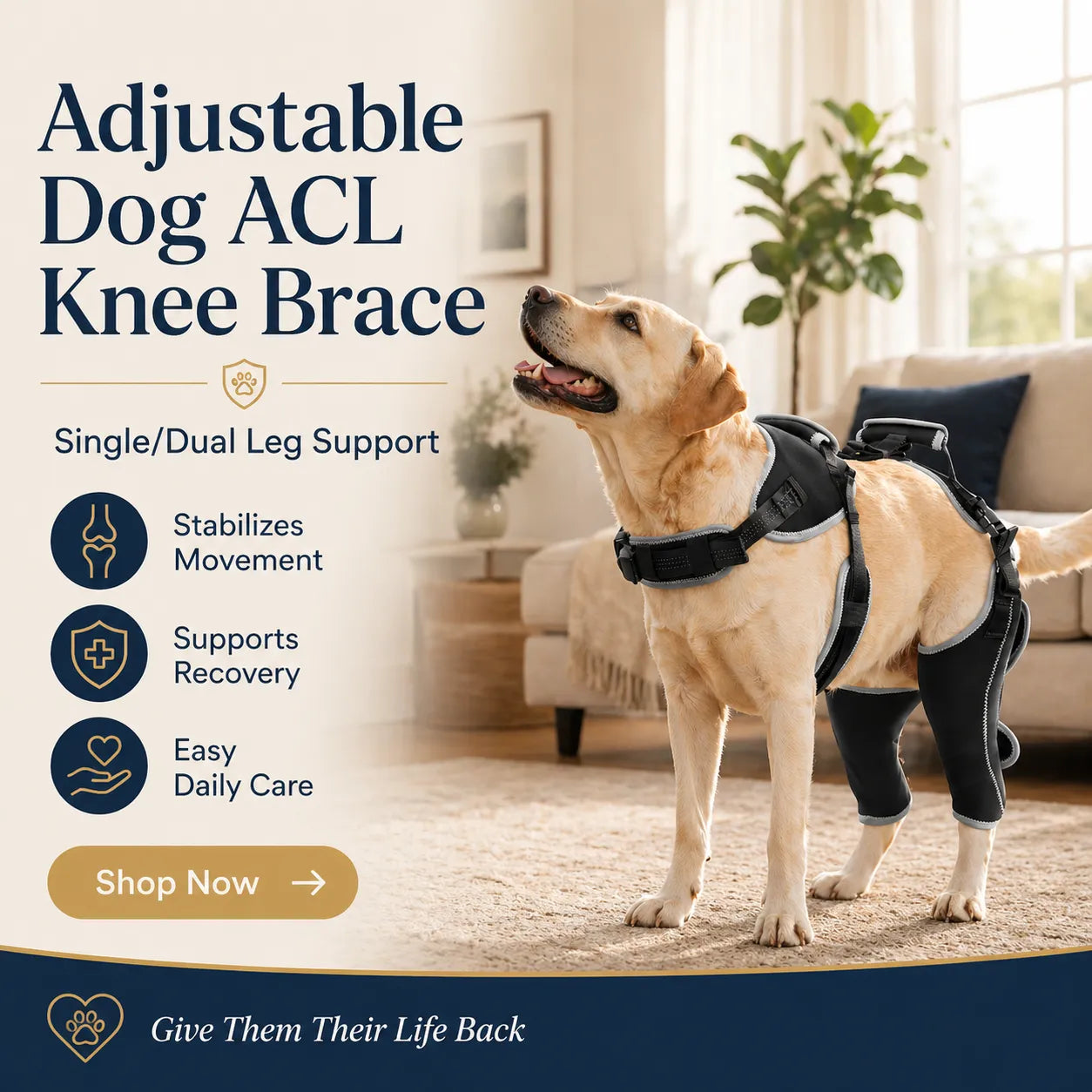 Adjustable Dog ACL Knee Brace – Single/Dual Leg Support