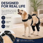 Adjustable Dog ACL Knee Brace – Single/Dual Leg Support