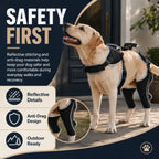 Adjustable Dog ACL Knee Brace – Single/Dual Leg Support