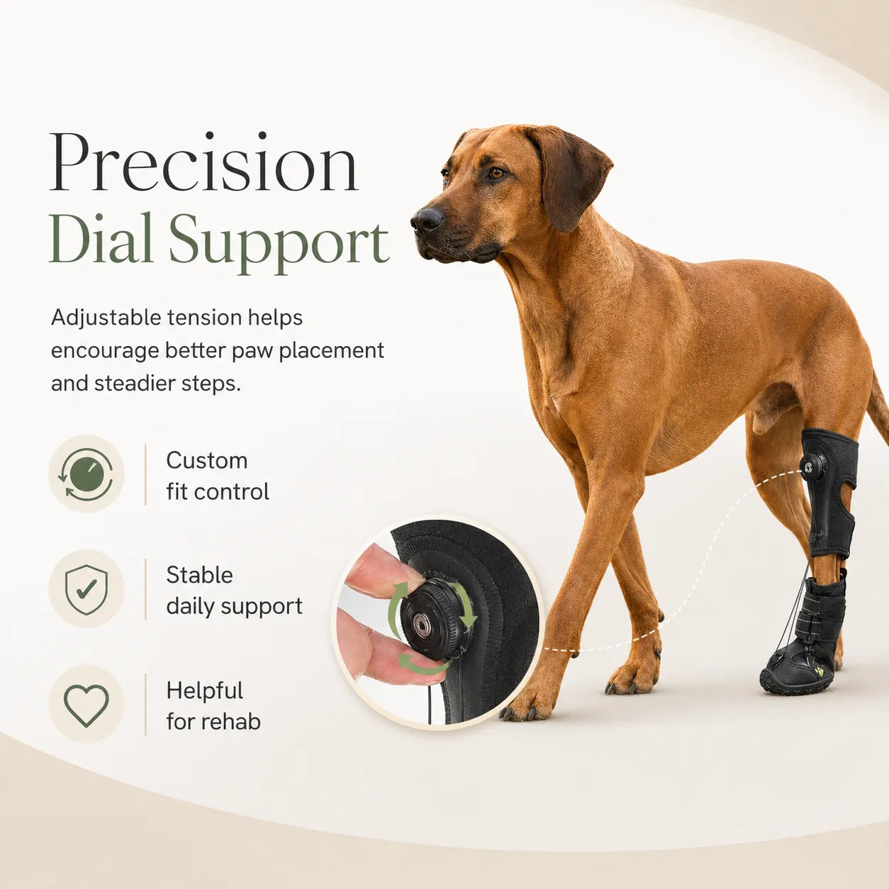 Adjustable Dog Knuckling Brace