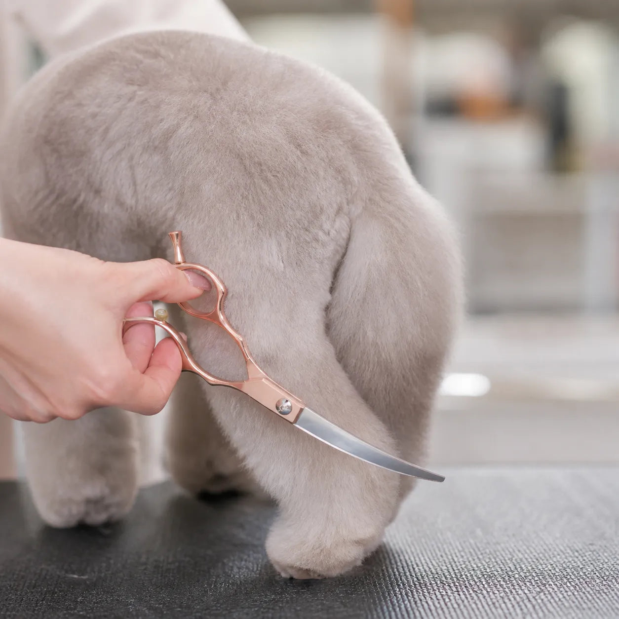 6.5 Inch Curved Pet Grooming Scissors for Dogs Cats, Rose Gold Up Down Trimming Shears