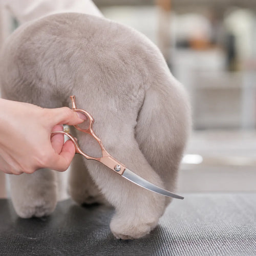 6.5-Inch Rose Gold Pet Grooming Thinning Shears, 15% Tooth Blade Scissors for Dogs and Cats