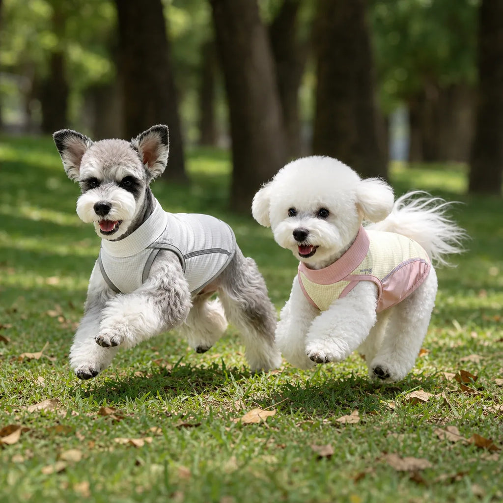 Dog Cooling Vest & Summer Sun Protection Shirt