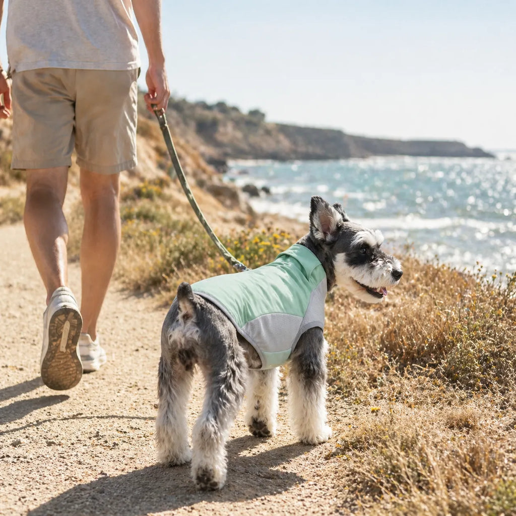 Dog Cooling Vest for Chest & Back