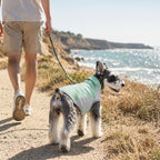 Dog Cooling Vest for Chest & Back