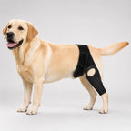 Dog ACL Knee Brace
